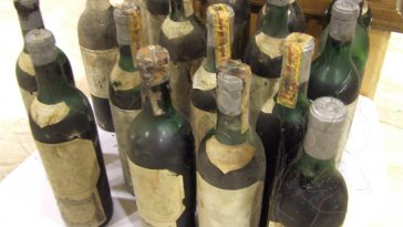 vino giallo del 1774