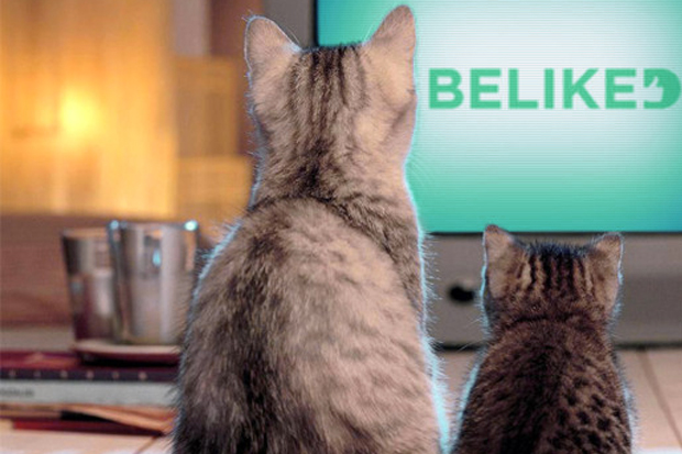 tripadvisor-basic-business