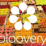 bloovery overfunding