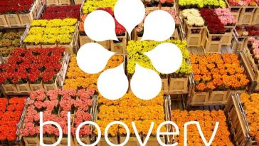 bloovery overfunding