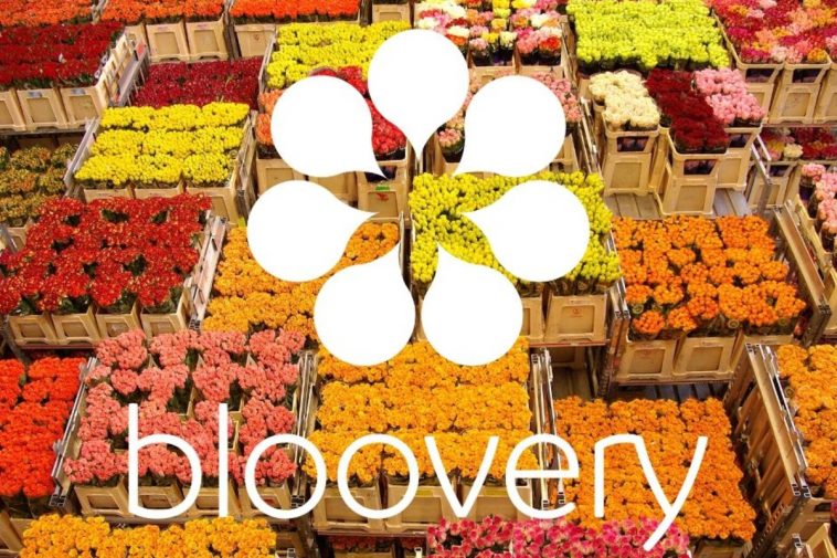 bloovery overfunding