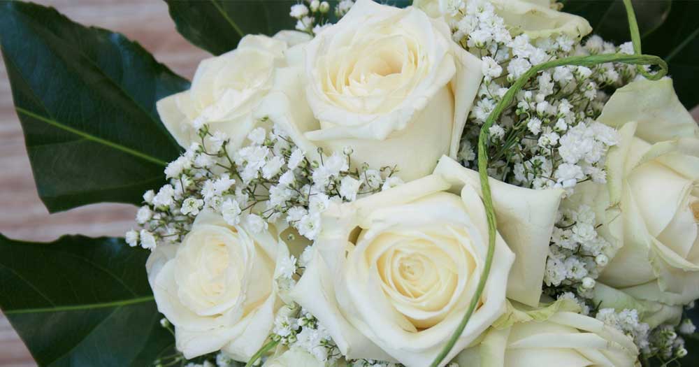 bloovery overfunding