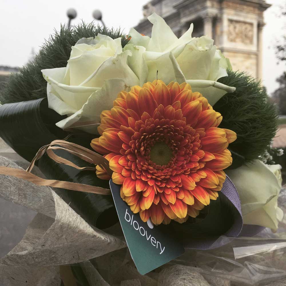 bloovery overfunding