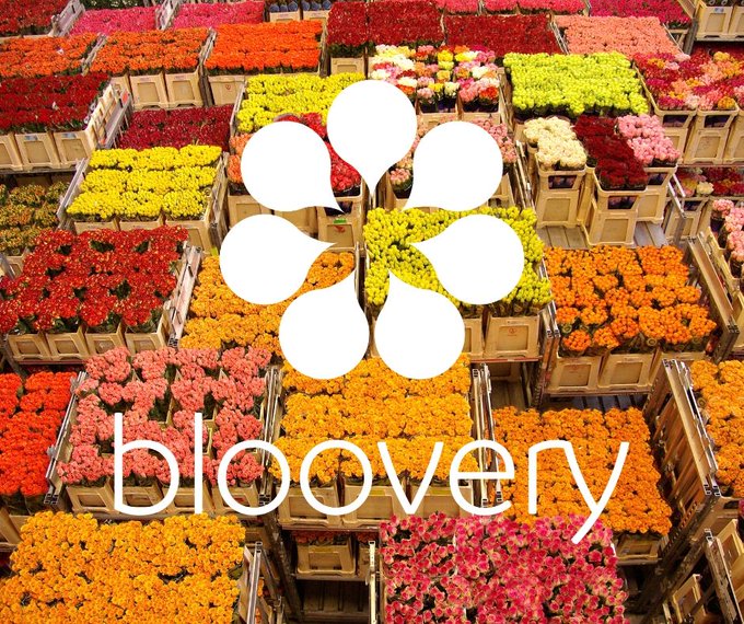 bloovery overfunding