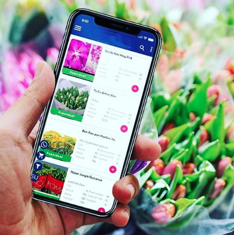 bloovery overfunding