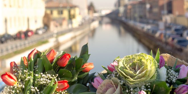 bloovery overfunding