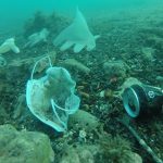 smaltimento dpi guanti mascherine