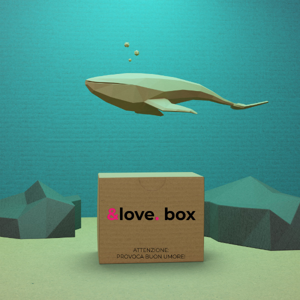 BOX BEACH & LOVE 2020