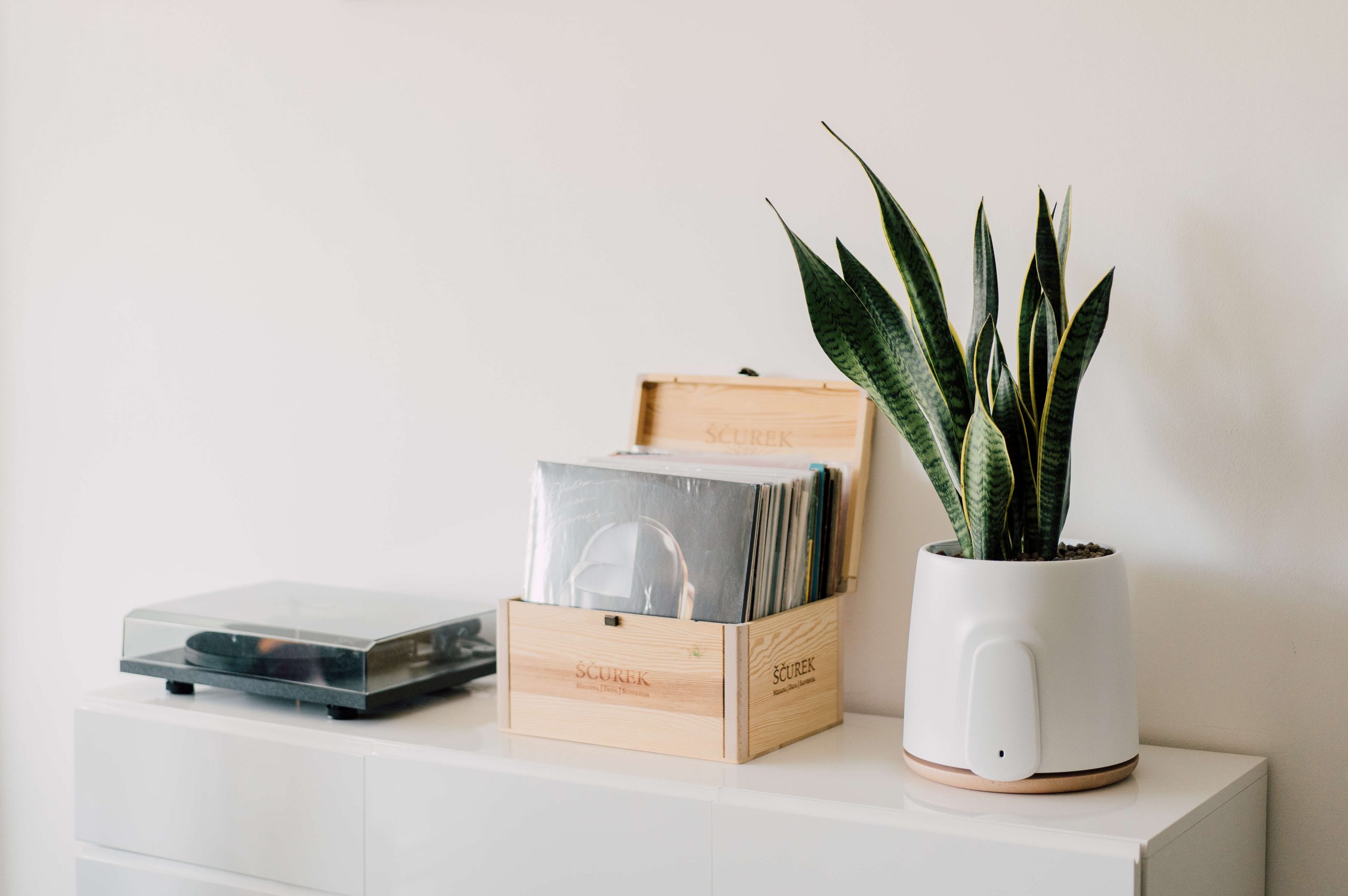 Natede, il purificatore d'aria di Vitesy