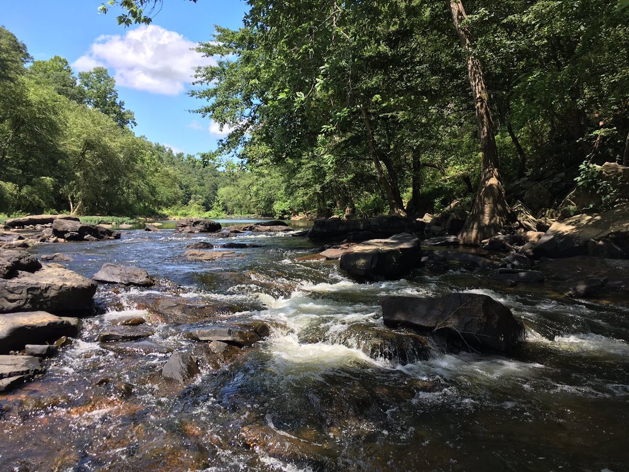 techstars 2NDNATURE Nature Conservancy