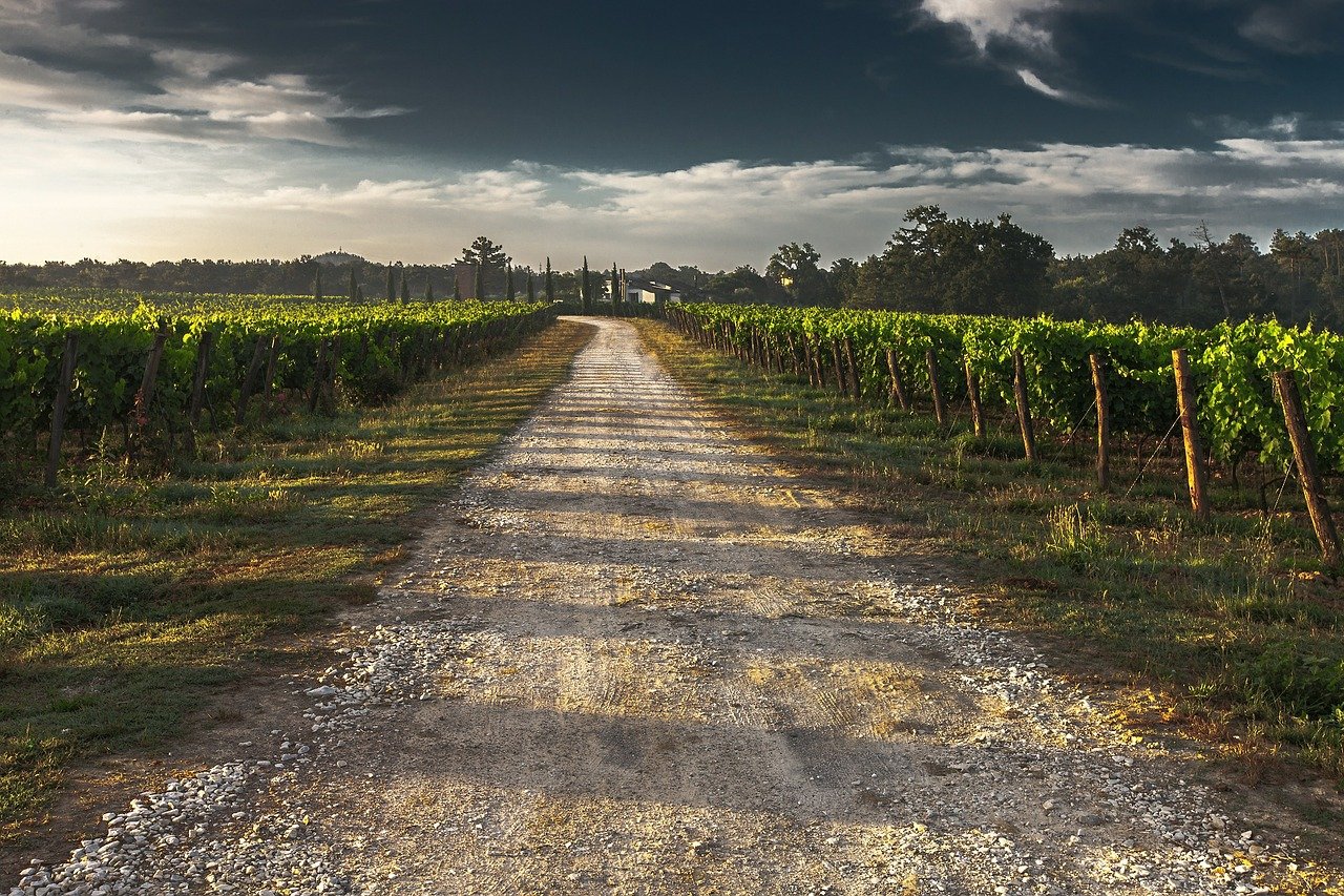 come aprire azienda agricola