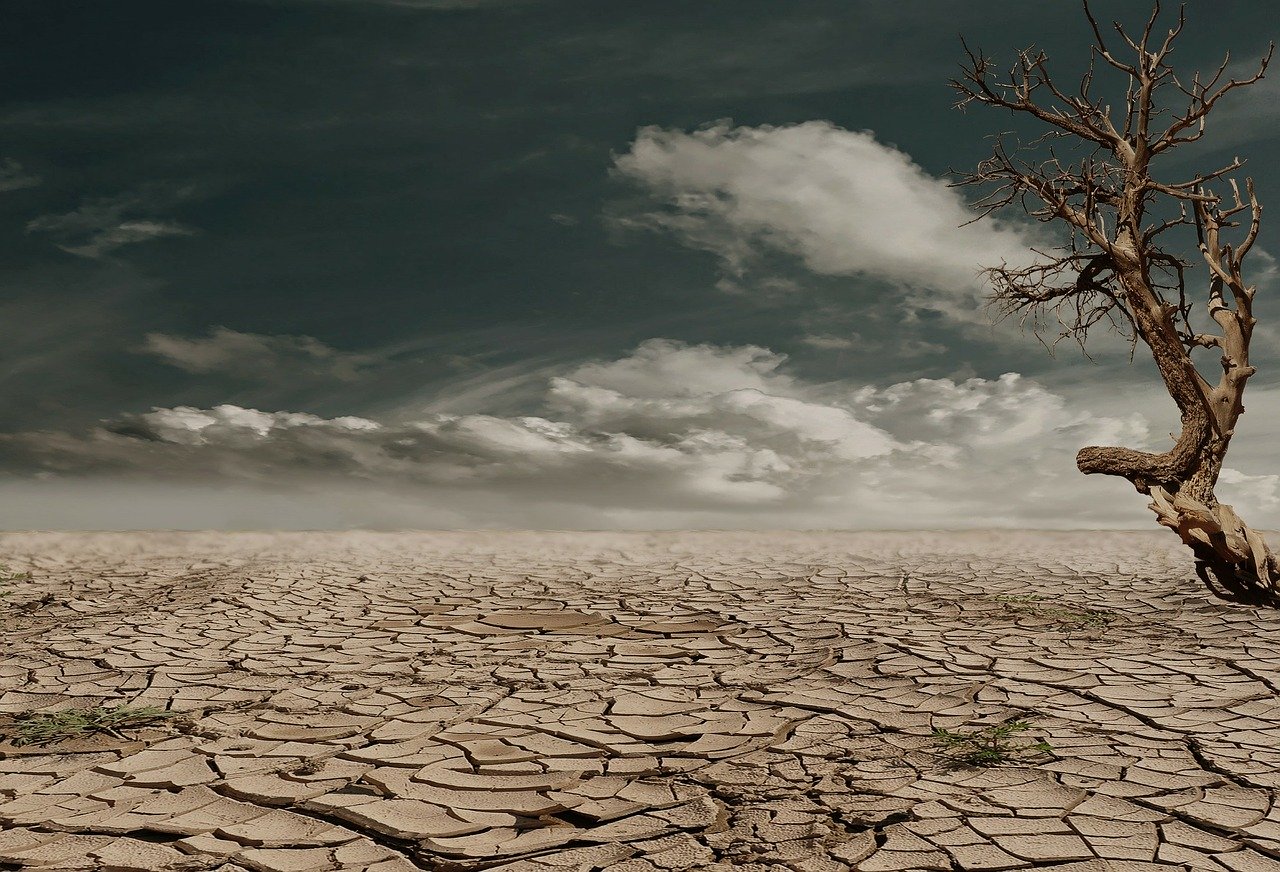deserto italia