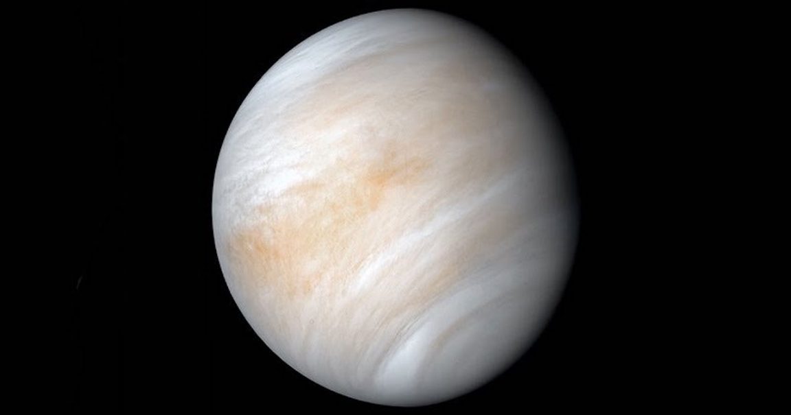 segni vita venere