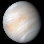 segni vita venere
