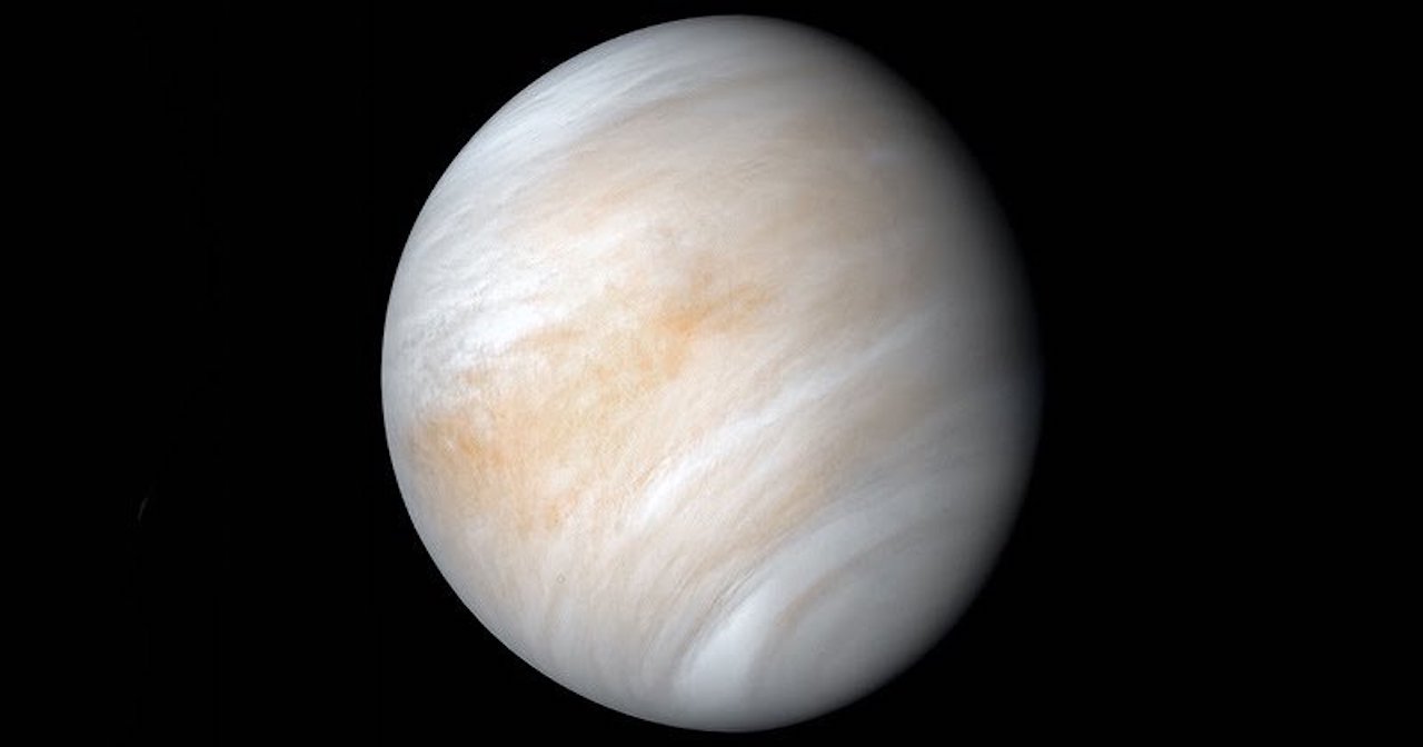 segni vita venere