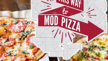 scopo profitto mod pizza