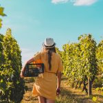 aprire un'azienda vinicola