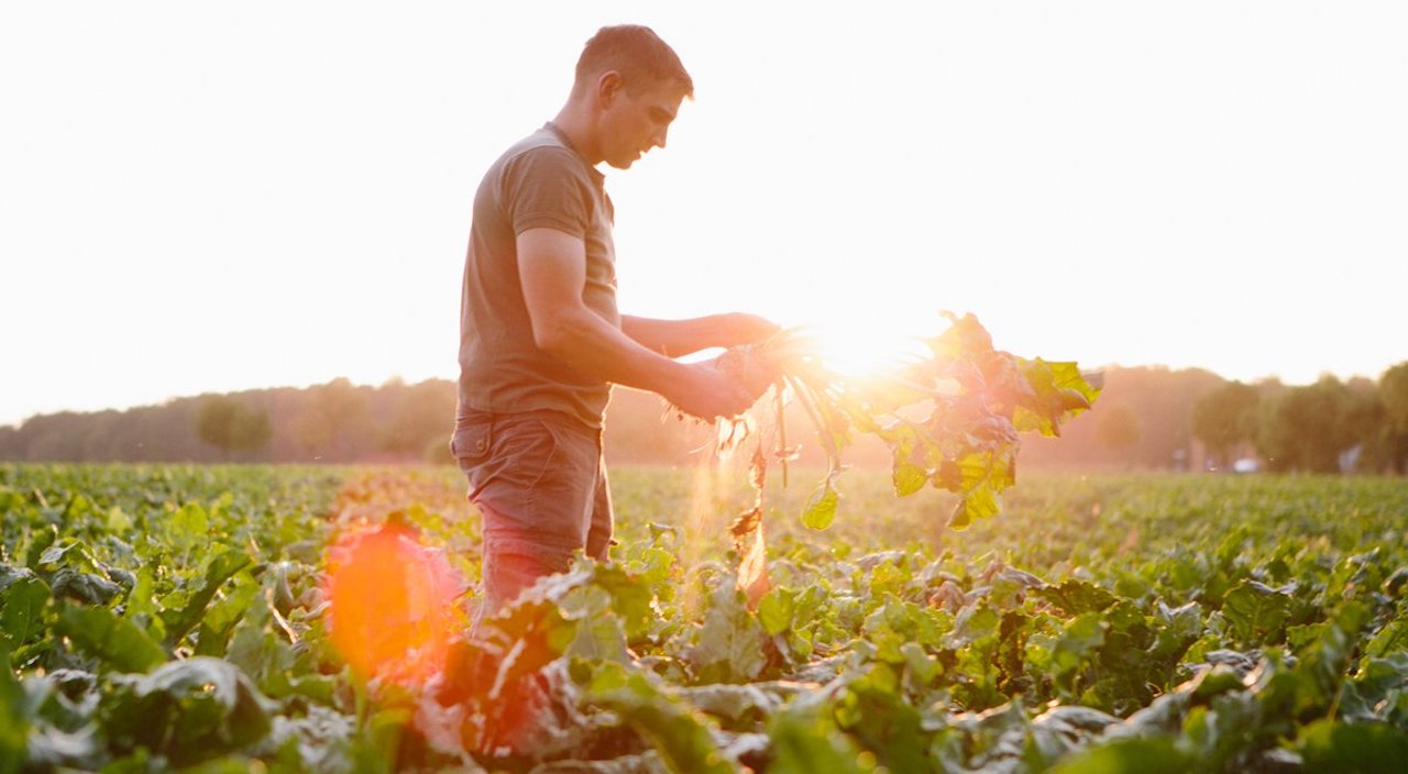 tecnologia agricoltura
