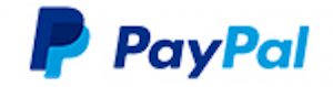 Dan Schulman paypal