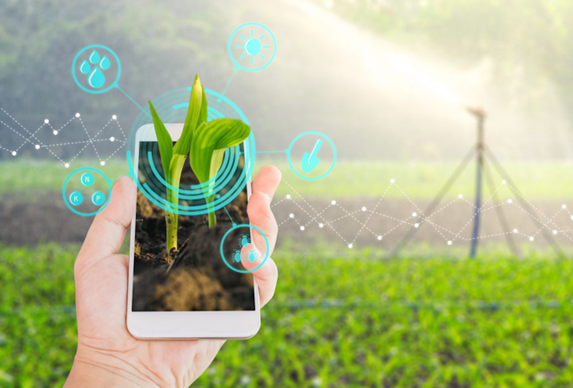 tecnologie alimentari