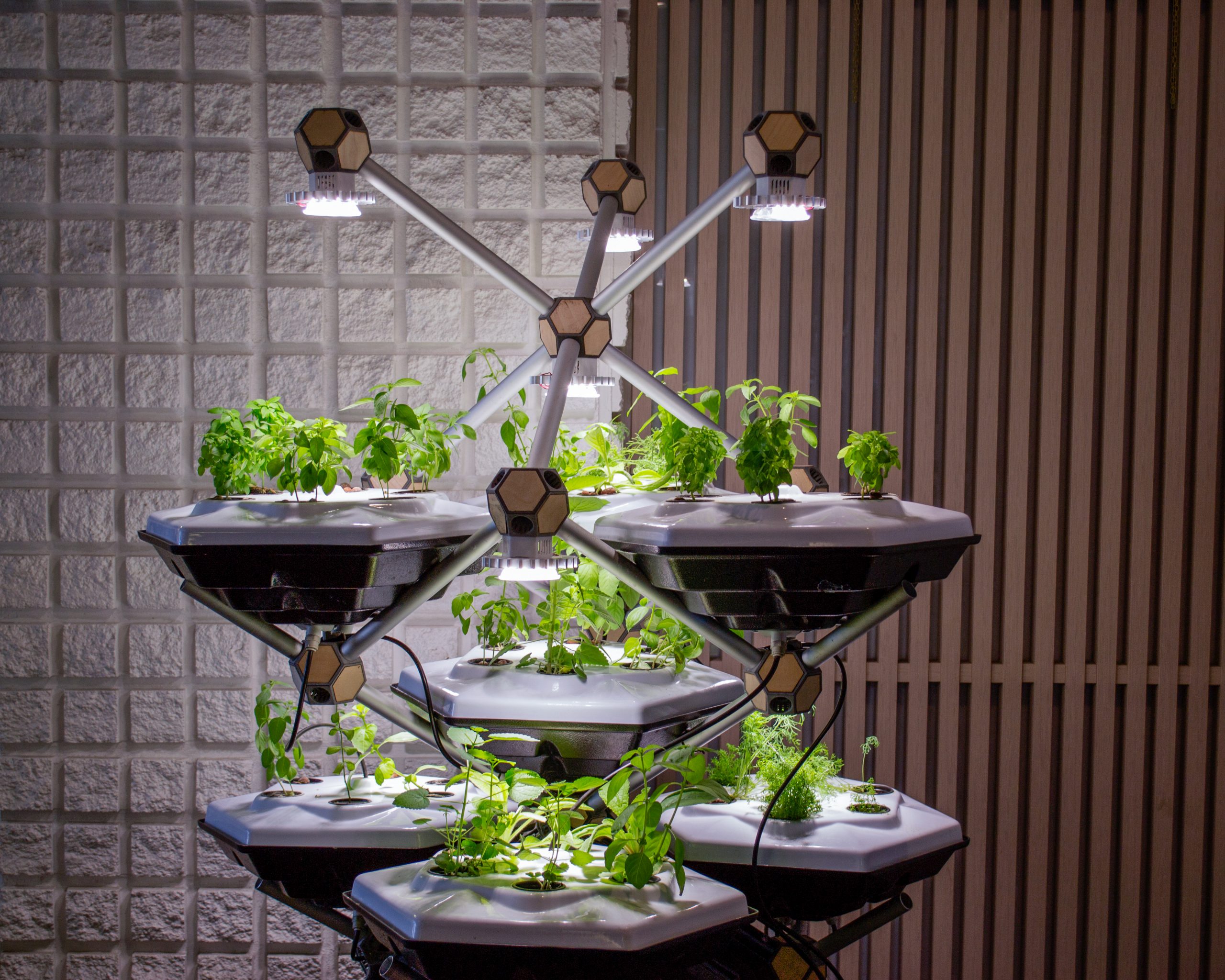 agricoltura verticale scaled