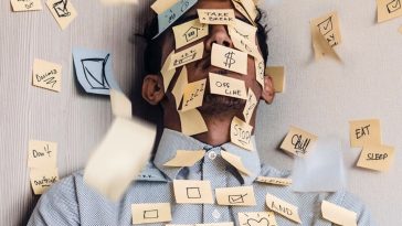 ansia miglior leader