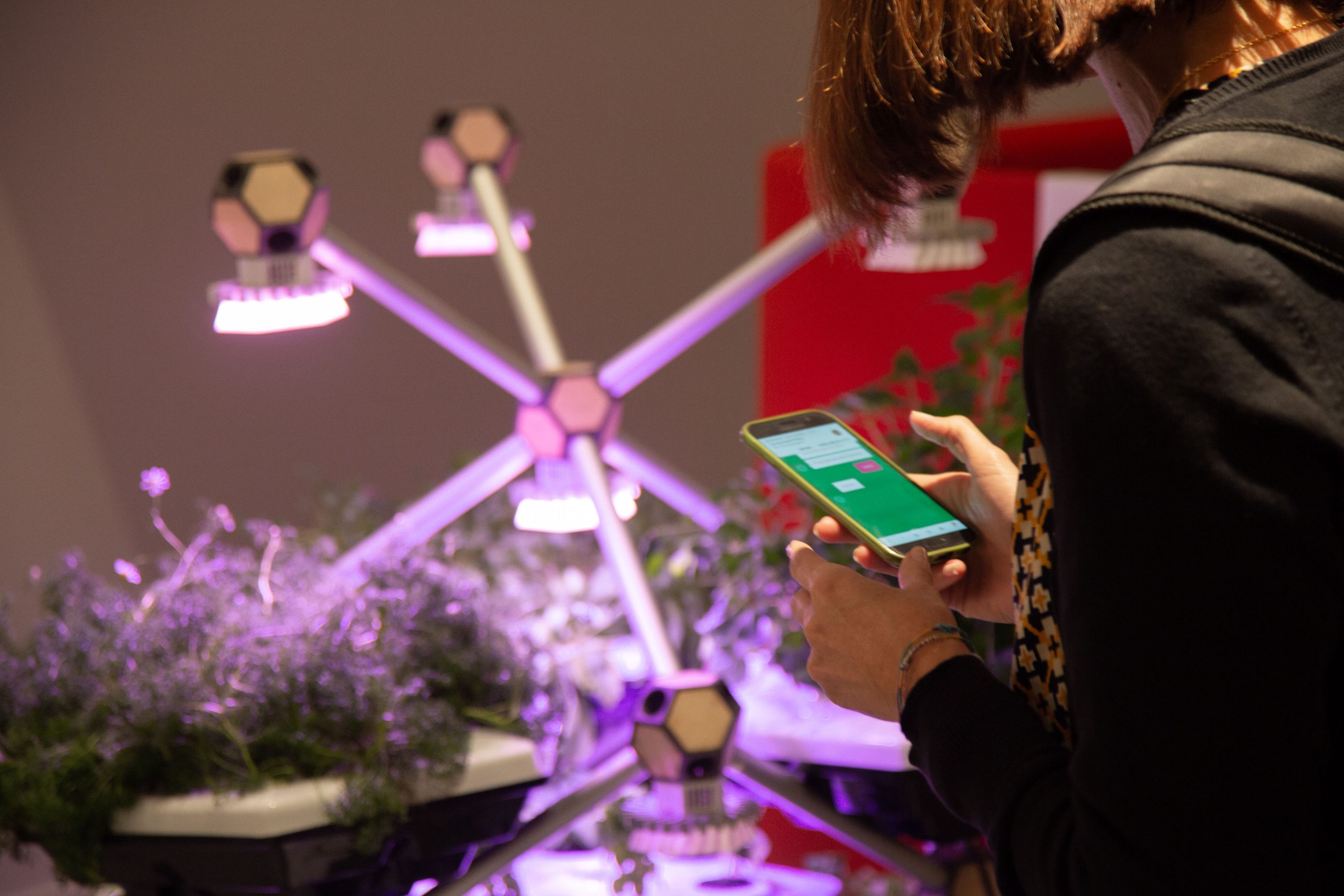 servizio digitale poty scaled