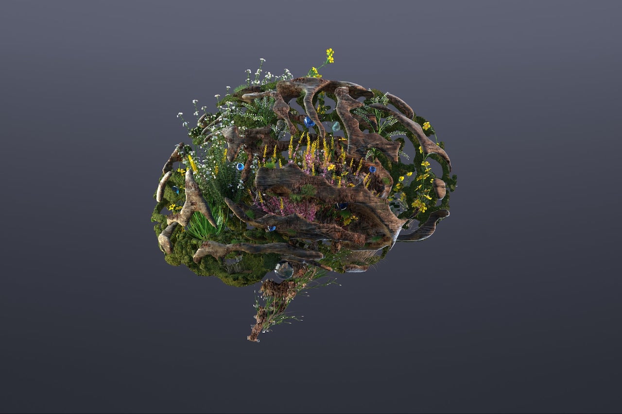 innovazione sostenibile