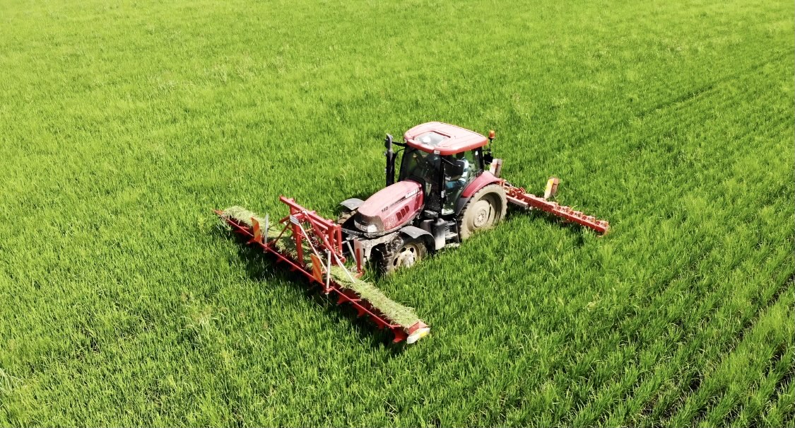 Agricoltura bio Cascina Casone