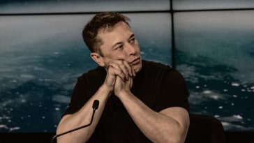 Elon Musk perdite