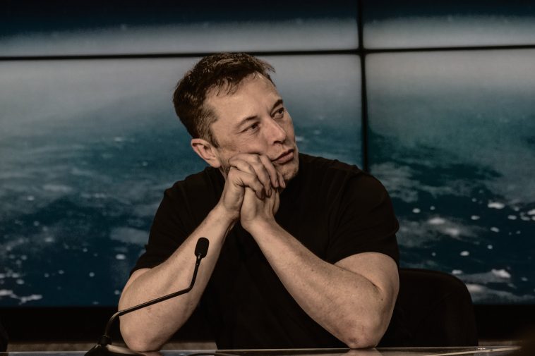 Elon Musk perdite