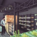 grow shop come aprire 1