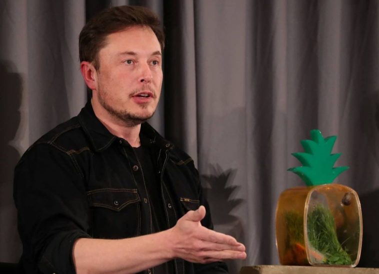 Elon Musk patrimonio