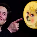 elon musk wifedoge