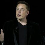 elon musk hamster