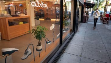 allbirds