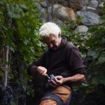 frame guido bresesti