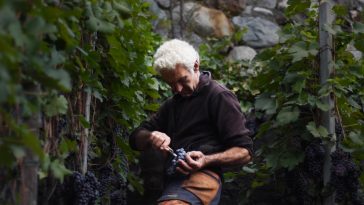 frame guido bresesti