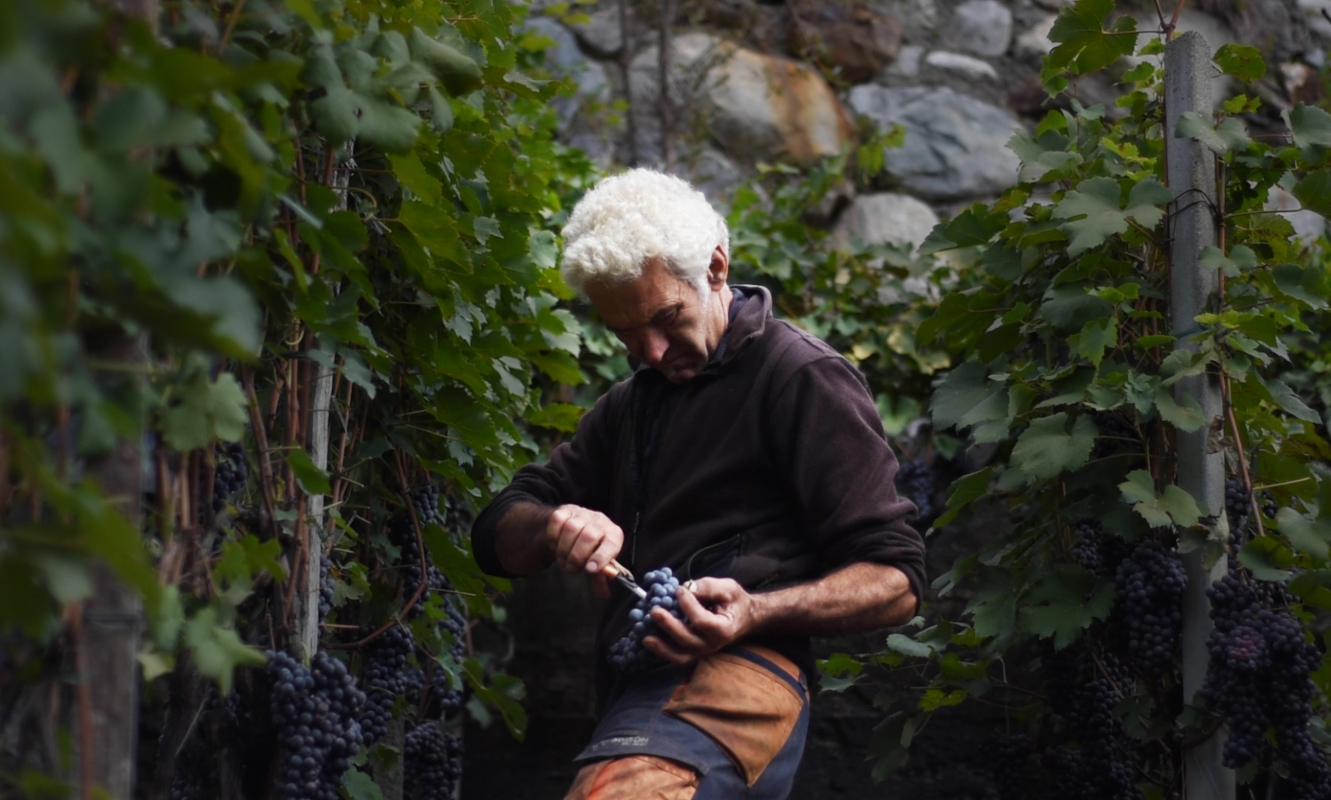Valtellina, arriva la Rete dei Giardini Sospesi