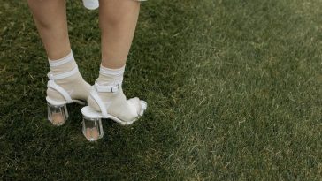 pexels photo 6255516