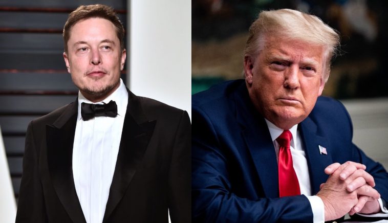 Elon Musk e Donald Trump
