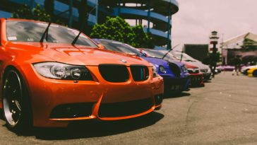 pexels rangga aditya armien 235222