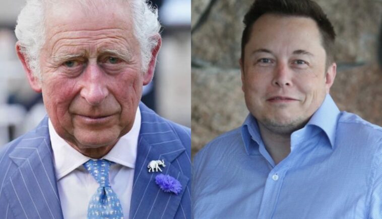 Re Carlo - Elon Musk