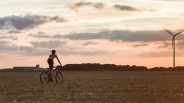 pexels hasan zahra 2118560