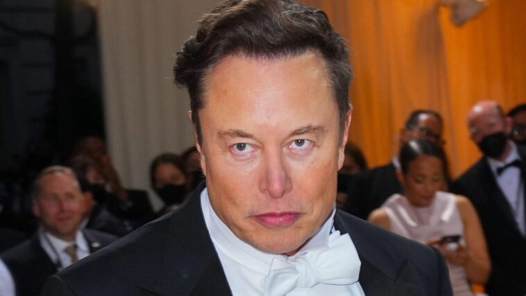 Elon Musk