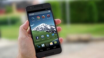 pexels pixabay 163065