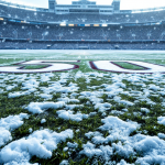 Tifosi dei Miami Dolphins delusi dopo la partita persa