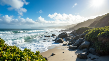 Otter marini che combattono le specie invasive nell'oceano