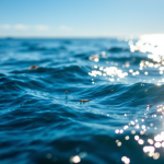 Infrastrutture sottomarine nel Mar Baltico