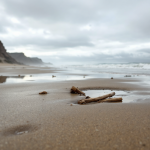 Immagine del terremoto in California con tsunami in arrivo